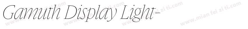 Gamuth Display Light字体转换